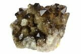 Smoky Citrine Crystal Cluster - Congo #124549-1